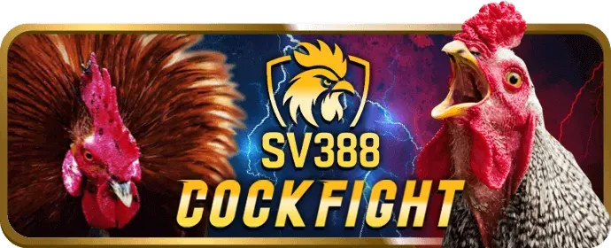 Hướng dẫn cá cược đá gà open8808